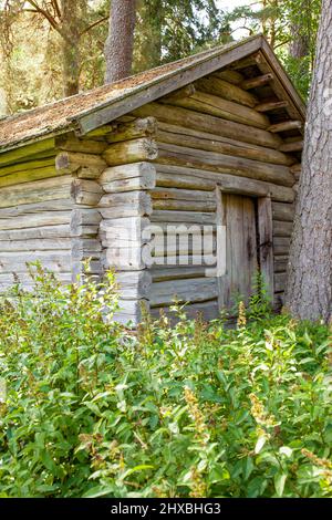 Alten Blockhütte Stockfoto