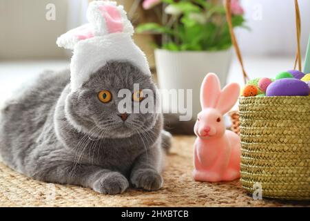 Süße schottische Falte Katze in Hasenohren mit Ostereiern und Kaninchen zu Hause Stockfoto