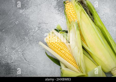 Reife Maiskolben, auf grauem Steintisch-Hintergrund, Draufsicht flach liegend, mit Platz für Text Stockfoto