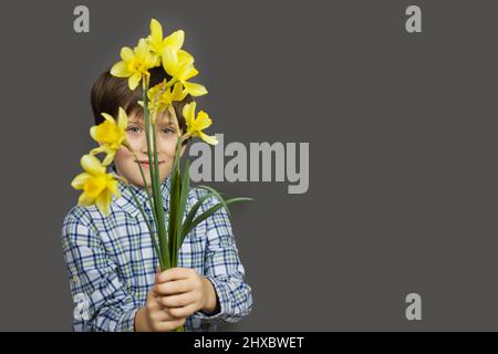 Narcissus - ein Blumenstrauß in der Hand, Blumen Gelber Narzissen Frühlingsblumen Narzissen, Nahaufnahme isoliert auf grauem Hintergrund, Junge mit Blumen, Stockfoto