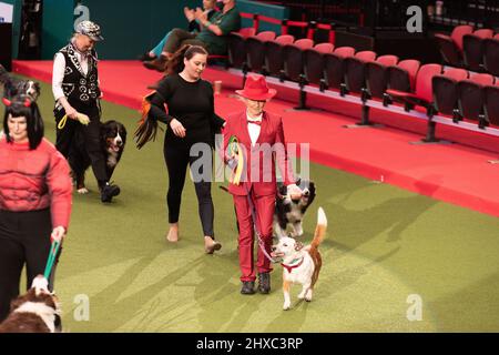 Birmingham, Großbritannien. 11. März 2022. Heelwork to music Competition Crufts 2022 Main Arena Credit: victoria elsmore/Alamy Live News Stockfoto