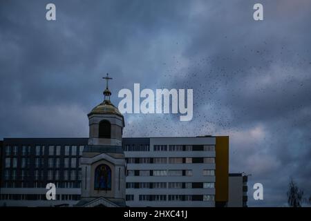 Lviv, Ukraine. 11. März 2022. 10. März 2022. Waffentraining, um zu zeigen, wie man einen Molotow-Cocktail im Lviv-Filmzentrum in der Ukraine macht. Russische Streitkräfte haben in diesem Monat in die Ukraine eingedrungen. (Foto von Gian Marco Benedetto/Sipa USA) Quelle: SIPA USA/Alamy Live News Stockfoto