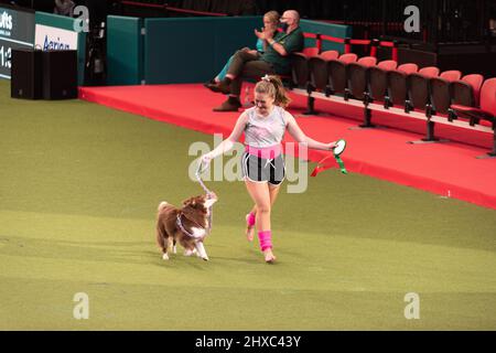 Birmingham, Großbritannien. 11. März 2022. Heelwork to music Competition Crufts 2022 Main Arena Credit: victoria elsmore/Alamy Live News Stockfoto