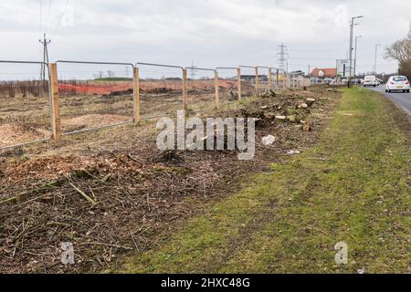 Bäume und Hecken, die für die Wohnungsentwicklung in Stockton auf Tees, England, Großbritannien, zerkleinert wurden Stockfoto