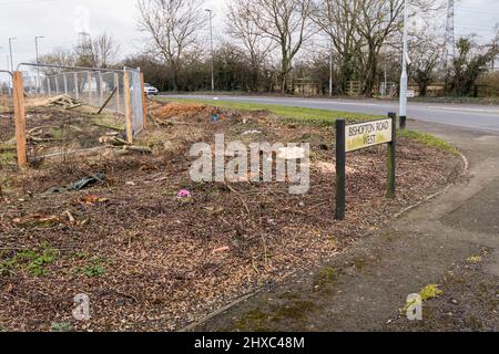 Bäume und Hecken, die für die Wohnungsentwicklung in Stockton auf Tees, England, Großbritannien, zerkleinert wurden Stockfoto