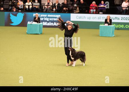 Birmingham, Großbritannien. 11. März 2022. Heelwork to music Competition Crufts 2022 Main Arena Credit: victoria elsmore/Alamy Live News Stockfoto