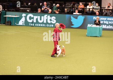 Birmingham, Großbritannien. 11. März 2022. Heelwork to music Competition Crufts 2022 Main Arena Credit: victoria elsmore/Alamy Live News Stockfoto