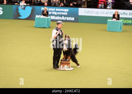 Birmingham, Großbritannien. 11. März 2022. Heelwork to music Competition Crufts 2022 Main Arena Credit: victoria elsmore/Alamy Live News Stockfoto