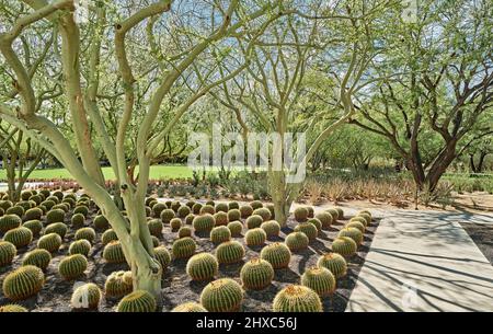 Sunnylands Anwesen. Sunnylands entstand auf der Weltbühne, als das historische Anwesen 1966 fertiggestellt wurde. Seitdem hat sie acht US-Präsidenten begrüßt Stockfoto