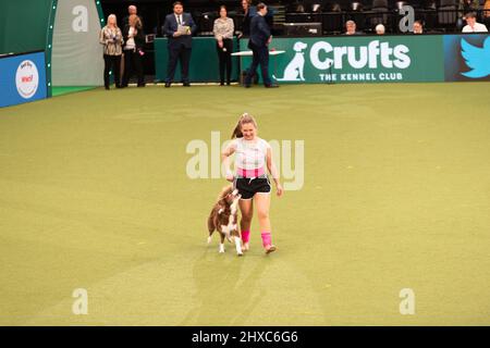 Birmingham, Großbritannien. 11. März 2022. Heelwork to music Competition Crufts 2022 Main Arena Credit: victoria elsmore/Alamy Live News Stockfoto