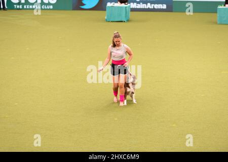 Birmingham, Großbritannien. 11. März 2022. Heelwork to music Competition Crufts 2022 Main Arena Credit: victoria elsmore/Alamy Live News Stockfoto