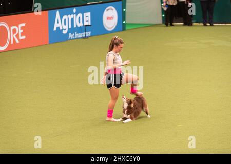 Birmingham, Großbritannien. 11. März 2022. Heelwork to music Competition Crufts 2022 Main Arena Credit: victoria elsmore/Alamy Live News Stockfoto