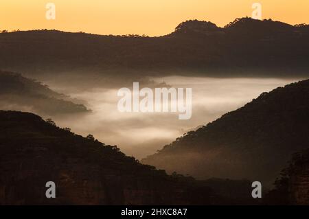 Sonnenaufgang über dem Grose Valley im Blue Mountains National Park. Stockfoto