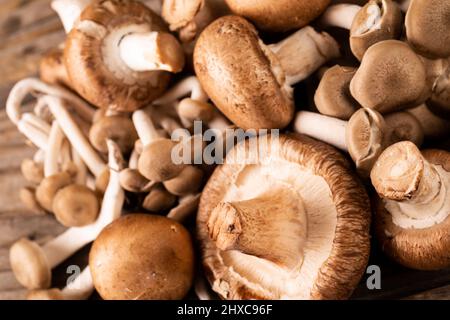 Nahaufnahme von frischen braunen Pilzen und kleinen Pilzen auf dem Tisch Stockfoto