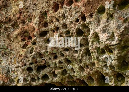 Erosion im Stein in der Nähe des Gipfels Roca del Gríngol, in den Prades-Bergen (Tarragona, Katalonien, Spanien) ESP: Erosión en la piedra cerca de Prades Stockfoto