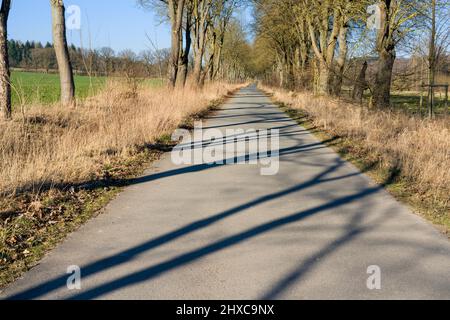 Oak parkway in der Nähe von Staatsgebiet Beberbeck, Hofgeismar, Kreis Kassel, Hessen, Deutschland Stockfoto