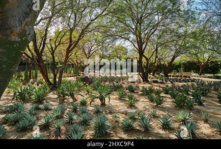 Sunnylands Anwesen. Sunnylands entstand auf der Weltbühne, als das historische Anwesen 1966 fertiggestellt wurde. Seitdem hat sie acht US-Präsidenten begrüßt Stockfoto