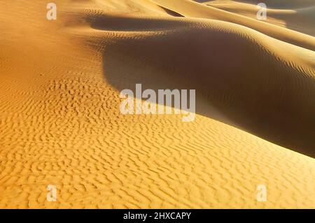 Sanddünen in der Wüste der nördlichen Sahara Stockfoto