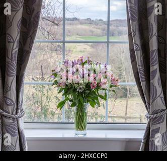 Eine große Vase mit Alstroemerien auf einer Fensterbank. Durch das Fenster hat man weit entfernte Ausblicke. Stockfoto