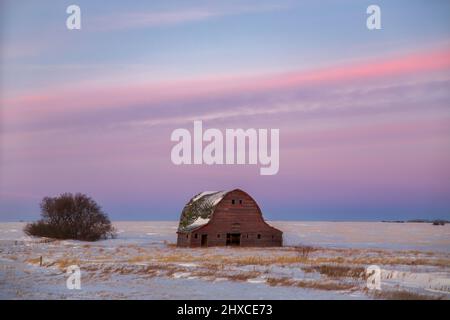 Eine verwitterte verlassene große rote Scheune neben einem Baum in einer weißen Landschaft Winterlandschaft Stockfoto