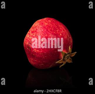 Granatapfel, Zitrusfrüchte, auf schwarzem Hintergrund mit Spiegelung Stockfoto