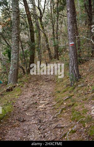 Hinweisschilder auf dem Weg von Prades zum Gipfel des Tossal de la Baltasana, in den Prades-Bergen (Tarragona, Katalonien, Spanien) Stockfoto