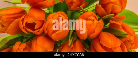 Bouquet von orange Tulpen Stockfoto