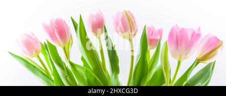 Bouquet von rosa Tulpen Stockfoto