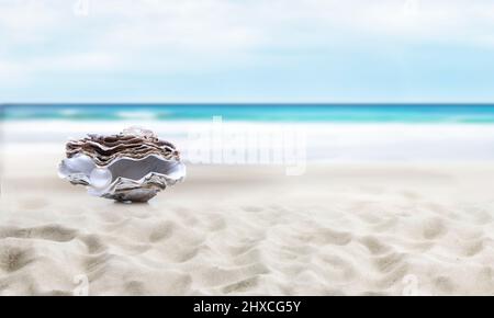 Auster mit Perle am Strand mit Meer im Hintergrund Stockfoto