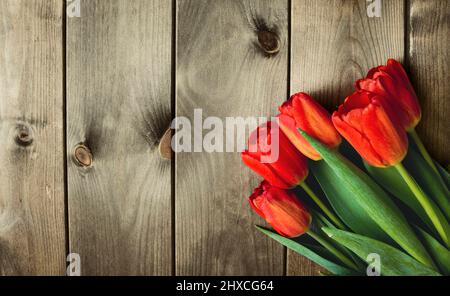 Frühlingshafte rote Tulpen auf dunklem Holzhintergrund. Stockfoto