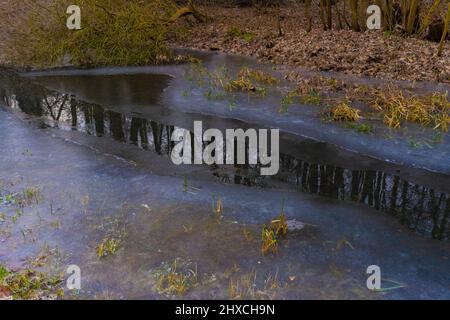 Kleiner fast gefrorener Fluss im Winter in Deutschland Stockfoto