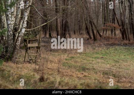 Hoher Sitz für Jäger am Waldrand, geringe Schärfentiefe Stockfoto