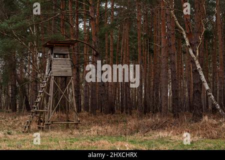 Großer hölzerner hoher Sitz für einen Jäger am Waldrand, geringe Schärfentiefe, weiches Bokeh, Platz für Text Stockfoto