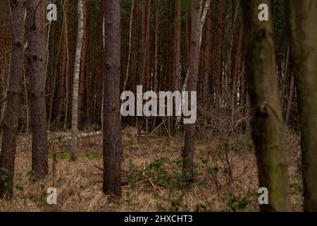 Versteckter kleiner hölzerner hoher Sitz für einen Jäger im Wald, geringe Schärfentiefe, weiches Bokeh Stockfoto