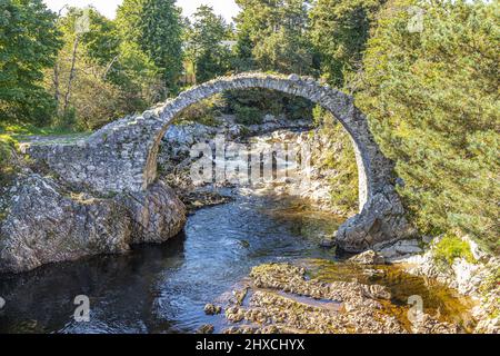 Die Überreste der Old Packhorse Bridge, die 1717 über dem Fluss Dulnain im Dorf Carrbridge, Highland, Schottland, erbaut wurde. Stockfoto