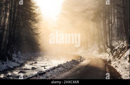 Sonnenstrahlen durchbrechen im Winter Nebel und erhellen Fluss und Straße im Wald. Halblech, Ammergauer Alpen, Bayern, Deutschland, Europa Stockfoto