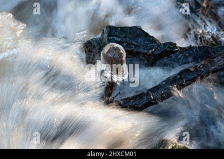 Eiskappe auf einem Ast und schnell fließenden Bach, Torup, Halland, Schweden Stockfoto