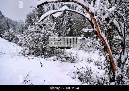 Bayerische Landschaft im Winter, Walchensee am Fuße der Alpen, Schneefall, Brücke über den Rißbachtunnel Stockfoto