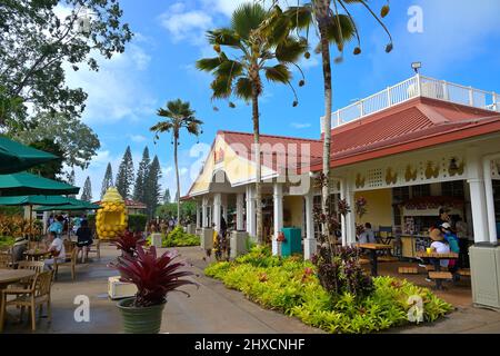 Die historische Ananasplantage von Dole plc im Dorf Wahiawa, Oahu HI Stockfoto