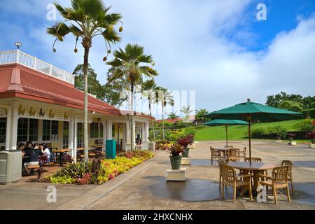 Die historische Ananasplantage von Dole plc im Dorf Wahiawa, Oahu HI Stockfoto