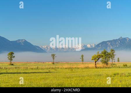 Blick über den Murnauer Moos auf die bayerischen Alpen, Murnau, Oberbayern, Deutschland Stockfoto