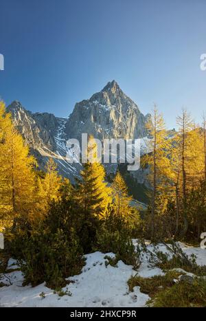 Gelbe Lärchen vor Torstein, Dachsteinmassiv, Salzburg, Österreich Stockfoto