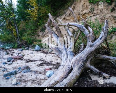 Ostseeküste Holnis Spitze an der Flensburger Förde Stockfoto