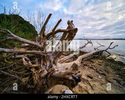 Ostseeküste Holnis Spitze an der Flensburger Förde Stockfoto