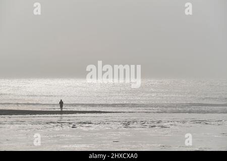 Meer, Tourist, Wellen, Eis, Schollen, Nebel, Sommer, Jökulsarlon, Austurland, Island Stockfoto