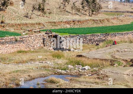 Ein Wasserrad hebt Wasser, um Felder auf einer Terrasse in der Nähe von Kumbhalgarh auf dem Bereich der Aravalli Hills, Rajsamand Bezirk, Udaipur, Rajasthan zu bewässern Stockfoto