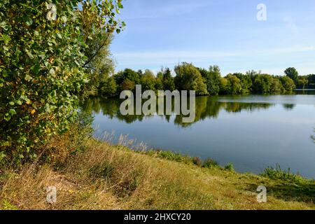 Landschafts- und Steinbruchteiche bei Dörfleins, Teil des LIFE-Natur-Projektes Oberes Maintal, Stadt Hallstadt, Landkreis Bamberg, Oberfranken, Franken, Bayern, Deutschland Stockfoto