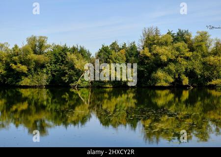 Landschafts- und Steinbruchteiche bei Dörfleins, Teil des LIFE-Natur-Projektes Oberes Maintal, Stadt Hallstadt, Landkreis Bamberg, Oberfranken, Franken, Bayern, Deutschland Stockfoto