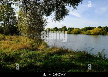 Landschafts- und Steinbruchteiche bei Dörfleins, Teil des LIFE-Natur-Projektes Oberes Maintal, Stadt Hallstadt, Landkreis Bamberg, Oberfranken, Franken, Bayern, Deutschland Stockfoto