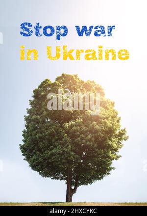 Beendet den Krieg in der Ukraine. Inschrift auf einem Hintergrund von grünen üppigen Bäumen und blauen Himmel mit Sonnenlicht. Helft allen Zivilisten der Ukraine. Stockfoto